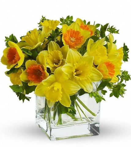 Daffodil Dreams - vase of daffodils