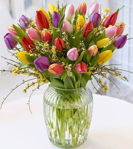 Mixed Tulip Vase -  mixed tulips and ginestra