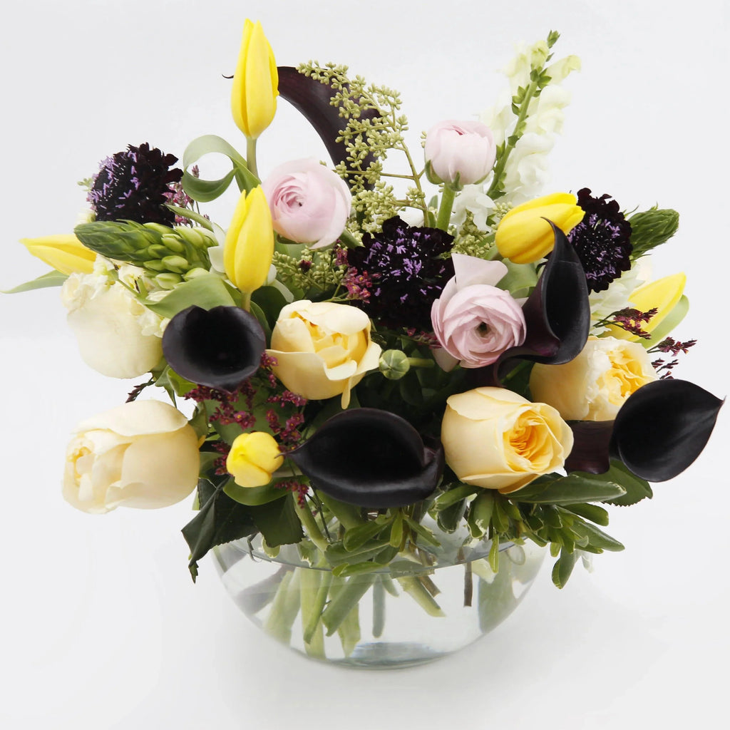 Share My World Bouquet Standard - peach roses , yellow tulips , black callas , peach ranunculus , pink ranunculus, black scabiosa , heather , white snapdragons , white Ornithogalum , vase arrangement
