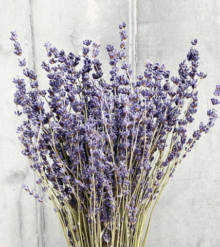lavender, fresh cut lavender, dried lavender, lavender flowers
