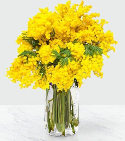 Bouquet of Mimosa™ Toronto Flower Co. 