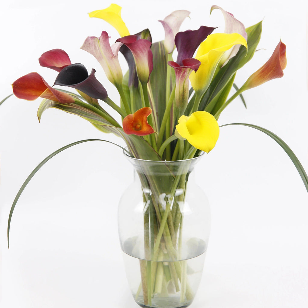 Captured Color™ Calla Lily Bouquet Toronto Flower Co. 