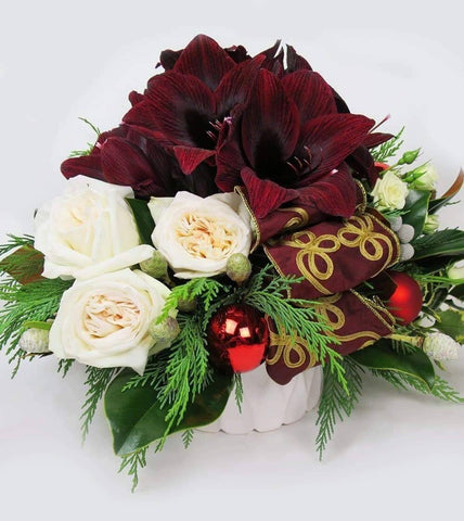 Festive Spirit Arrangement - vase with burgundy amaryllis, cream garden roses, spray roses and leucadendron cones