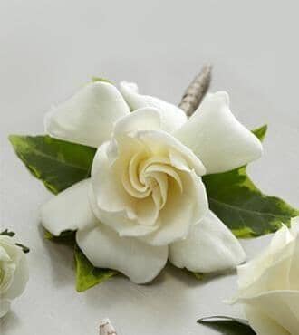 Gardenia-Boutonniere