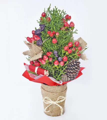 Mini cypress Christmas tree with natural hypericum and pine accents and a rustic look.