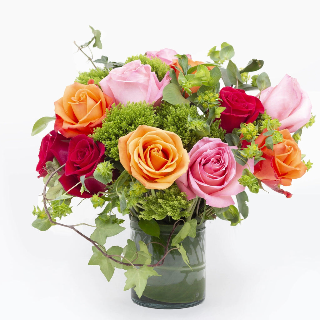 Lush Life Rose Bouquet Fuller - square vase filled with Hot pink, orange, and red roses capture the eye and the imagination accented with green trachelium, bupleurum, and ivy vines