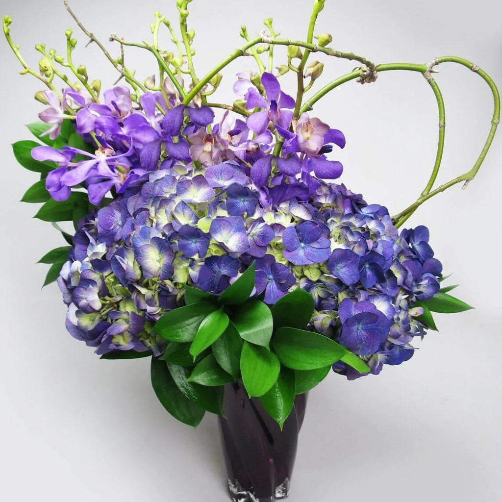 Mokara & Hydrangeas - purple mokara orchids, purple hydrangeas  in a vase