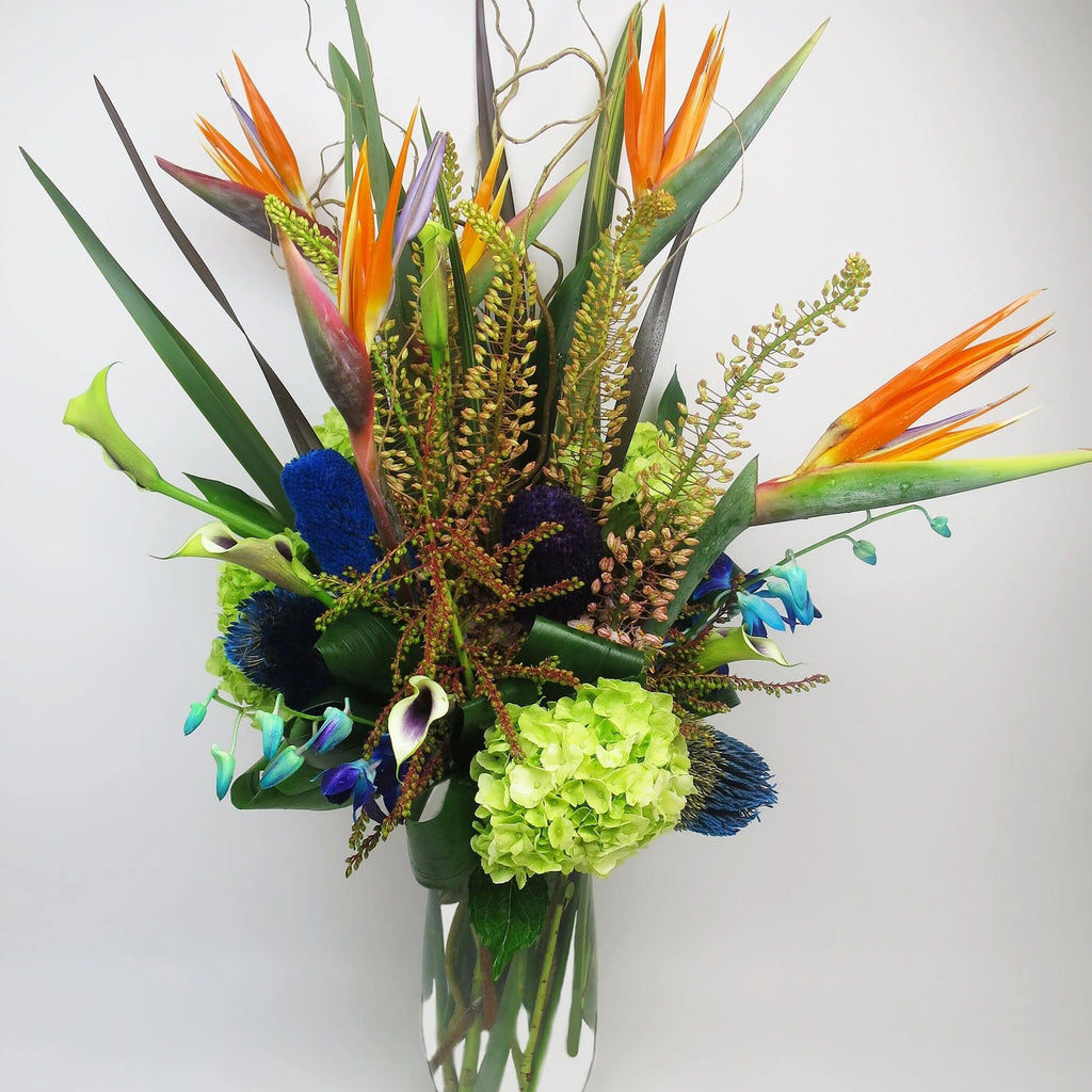 Paradise Bouquet - birds of paradise, eremerus, blue dendrobium orchids, green hydrangea, Picasso mini calla, banksia, blue banksia, tropical flowers 