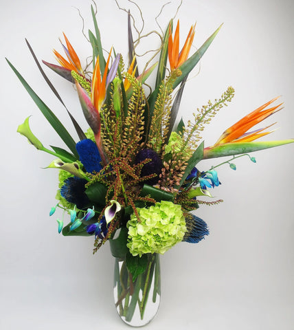 Paradise Bouquet - birds of paradise, eremerus, blue dendrobium orchids, green hydrangea, Picasso mini calla, banksia, blue banksia, tropical flowers 