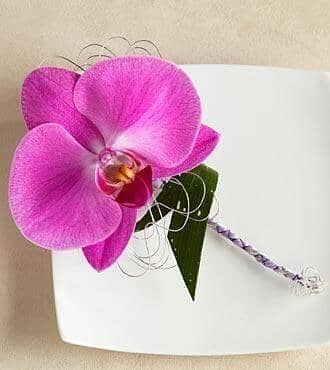 phalaenopsis-orchid-boutonniere