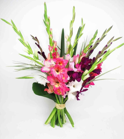 Rainbow Gladiolus Bouquet - gladiolus , bouquet