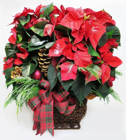premium red poinsettia - potted poinsettia plant covered in snow and accented with a bow, evergreens, cones and ornaments