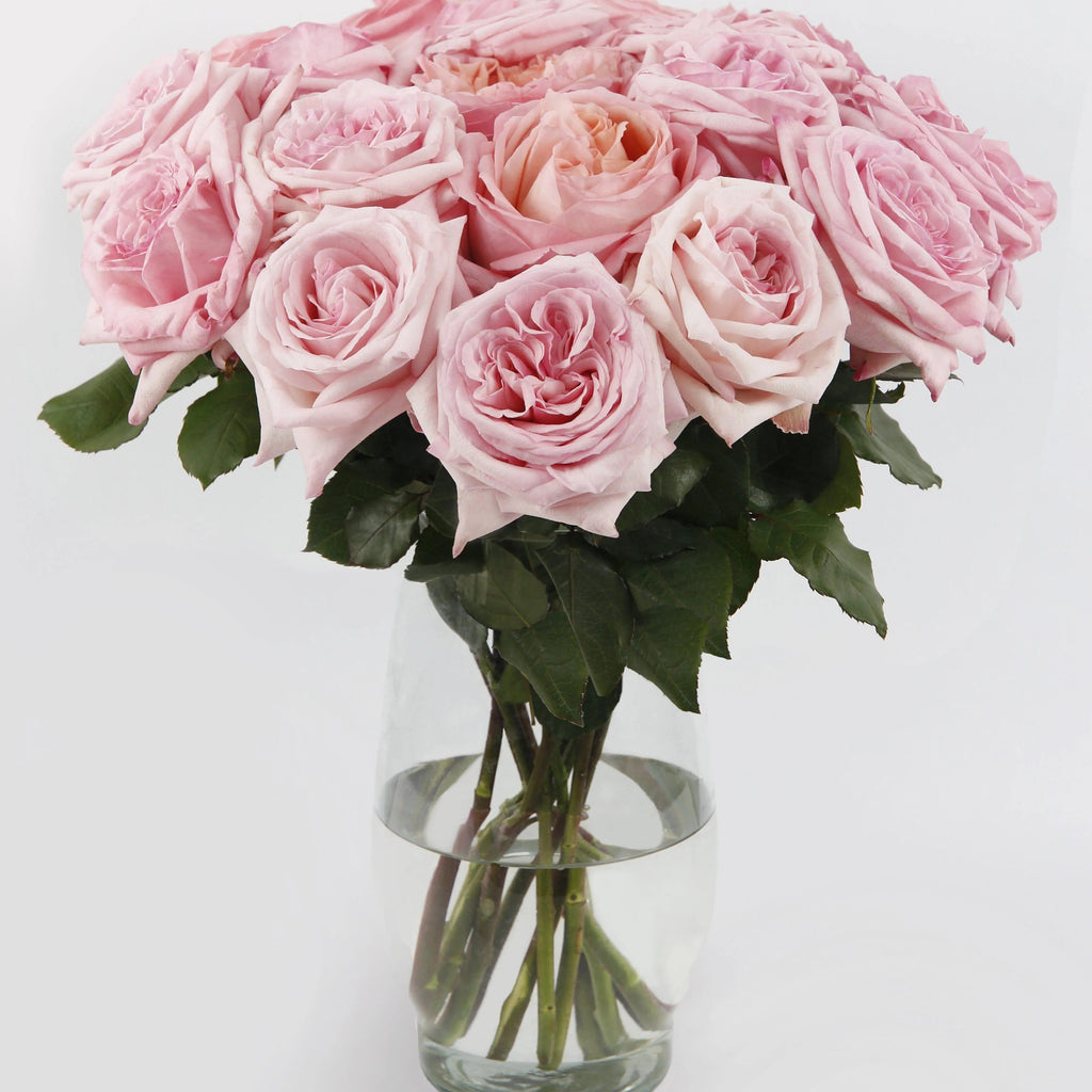 Scented Pink O’Hara Bouquet™ Toronto Flower Co.