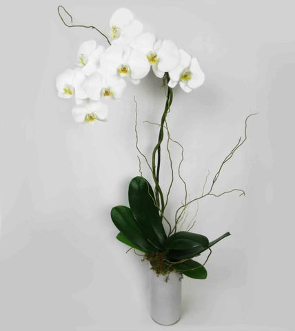White Orchid Planter - single spike orchid