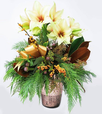 Winter Sunrise Amaryllis - vase with lush winter evergreens features one of a kind light orange Amaryllis and Ilex berries